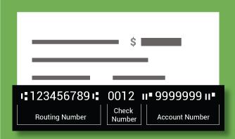 Woodforest check example